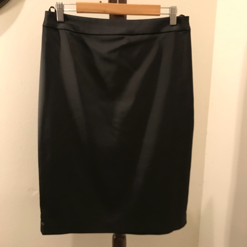 Tadashi Collection Skirt Size 12